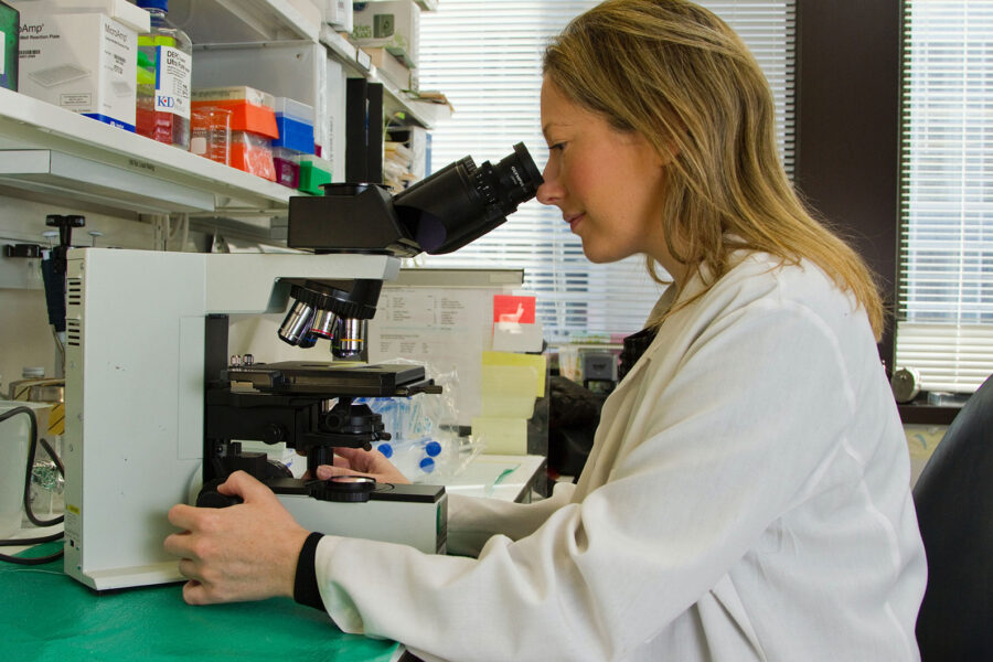 Medicina basada en evidencia vs. evidencia basada en la práctica real: ¿opuestas o complementarias?